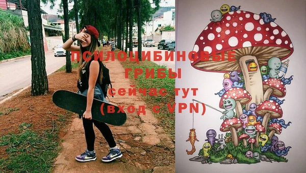 бошки Гусь-Хрустальный