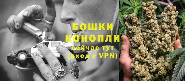 бошки Гусь-Хрустальный