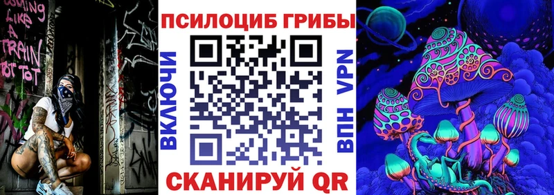 Галлюциногенные грибы Psilocybe  Купить где  Полярные Зори 